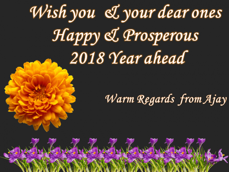 Happy New Year 2018